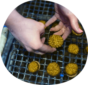 researcher in water lab